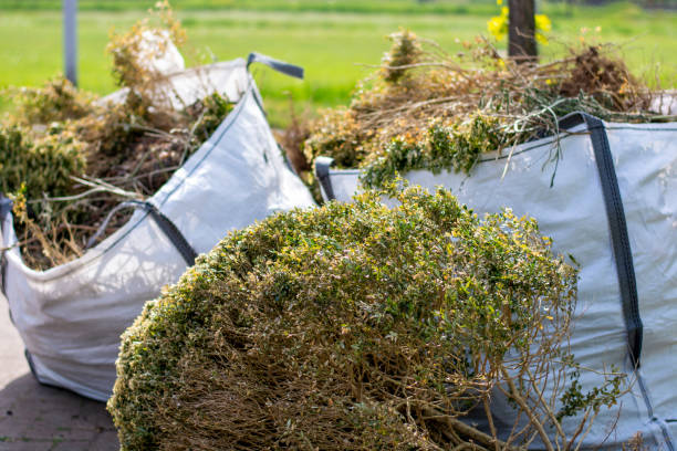 Best Recycling Services for Junk  in Hibbing, MN