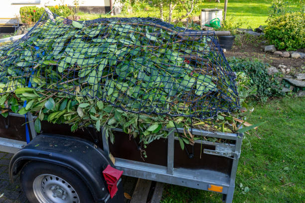Best Residential Junk Removal  in Hibbing, MN